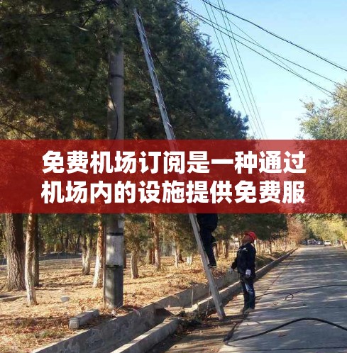 免费机场订阅是一种通过机场内的设施提供免费服务的模式，具有以下主要优势和注意事项