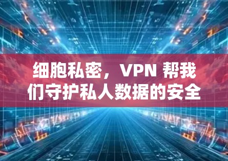 细胞私密，VPN 帮我们守护私人数据的安全与隐私