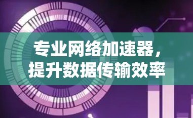 专业网络加速器，提升数据传输效率的关键