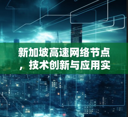新加坡高速网络节点，技术创新与应用实践