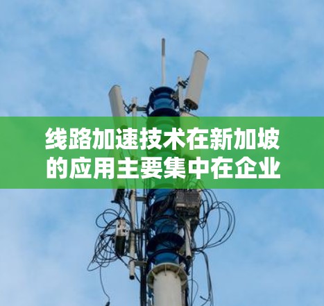 线路加速技术在新加坡的应用主要集中在企业和个人网络连接的优化，通过提供更快的网络速度来提升效率。以下是对该技术的详细分析