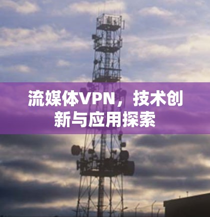 流媒体VPN,技术创新与应用探索 流媒体VPN,技术创新与应用探索