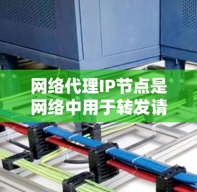 网络代理IP节点是网络中用于转发请求的重要组件，主要用于优化网络性能和安全。以下是对网络代理IP节点的详细分析