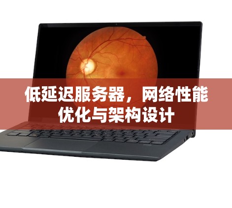低延迟服务器,网络性能优化与架构设计 低延迟服务器,网络性能优化与架构设计