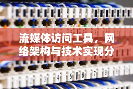流媒体访问工具，网络架构与技术实现分析