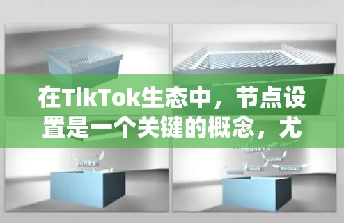 在TikTok生态中，节点设置是一个关键的概念，尤其是在使用爬虫工具或数据抓取工具时。以下是关于TikTok高速节点的一些详细信息，帮助你理解如何优化节点设置以提高抓取速度