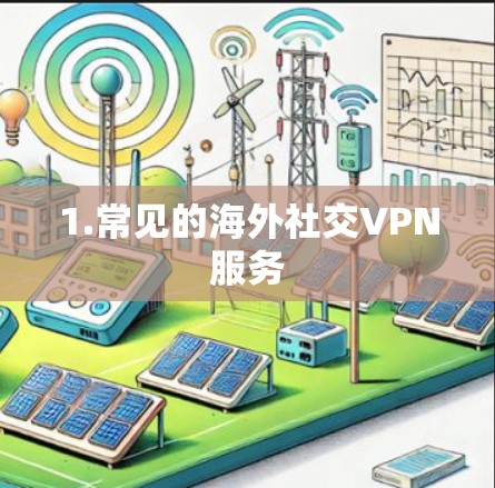 1.常见的海外社交VPN服务