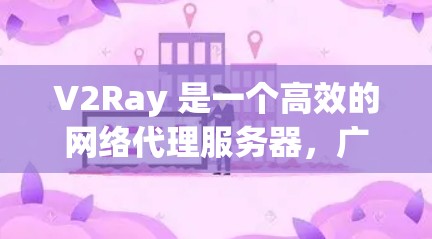 V2Ray 是一个高效的网络代理服务器，广泛应用于网络访问控制、内网穿透等场景。以下是关于 V2Ray 电脑版的详细指南