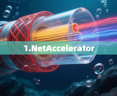 1.NetAccelerator