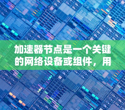 加速器节点是一个关键的网络设备或组件，用于优化数据传输和处理性能。在现代计算环境中，尤其是在数据中心、云计算和高性能计算（HPC）中，加速器节点发挥着重要作用。以下是关于加速器节点的详细介绍