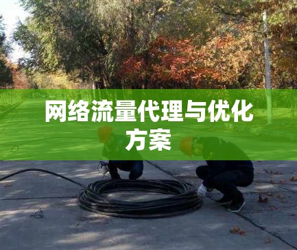 网络流量代理与优化方案 网络流量代理与优化方案