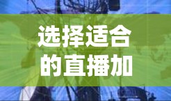 选择适合的直播加速器软件需要综合考虑以下几个关键因素 选择适合的直播加速器软件需要综合考虑以下几个关键因素