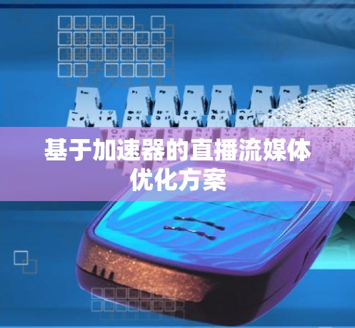 基于加速器的直播流媒体优化方案