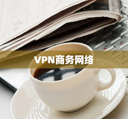VPN商务网络