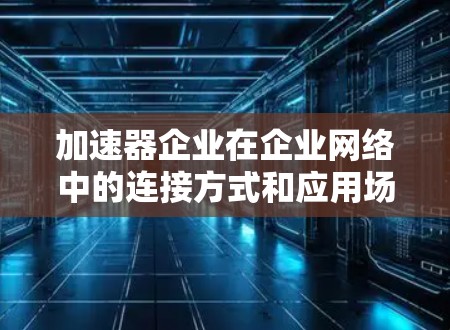 加速器企业在企业网络中的连接方式和应用场景可以从以下几个方面进行分析