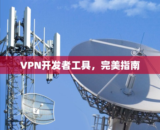 VPN开发者工具，完美指南