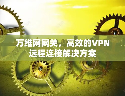 万维网网关，高效的VPN远程连接解决方案