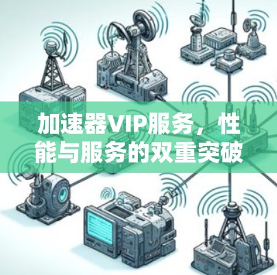 加速器VIP服务，性能与服务的双重突破