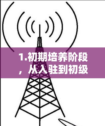 1.初期培养阶段，从入驻到初级会员