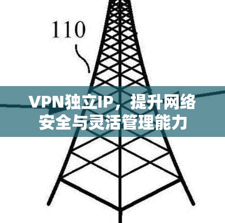 VPN独立IP，提升网络安全与灵活管理能力
