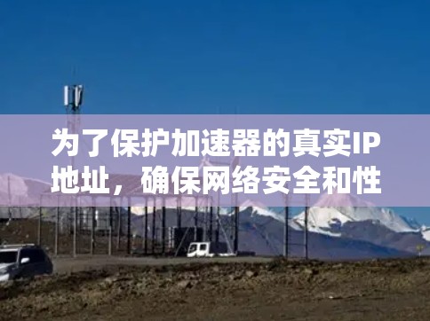 为了保护加速器的真实IP地址，确保网络安全和性能，以下是详细的解决方案
