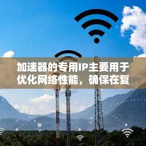 加速器的专用IP主要用于优化网络性能，确保在复杂环境中高效运行。以下是对专用IP的详细分析