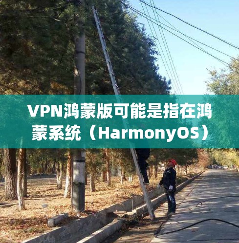 VPN鸿蒙版可能是指在鸿蒙系统（HarmonyOS）中使用VPN服务的相关功能或模块。如果你在寻找鸿蒙系统中与VPN相关的官方资源或开发指南，以下是一些可能的方向和资源