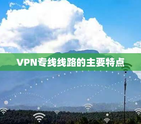 VPN专线线路的主要特点
