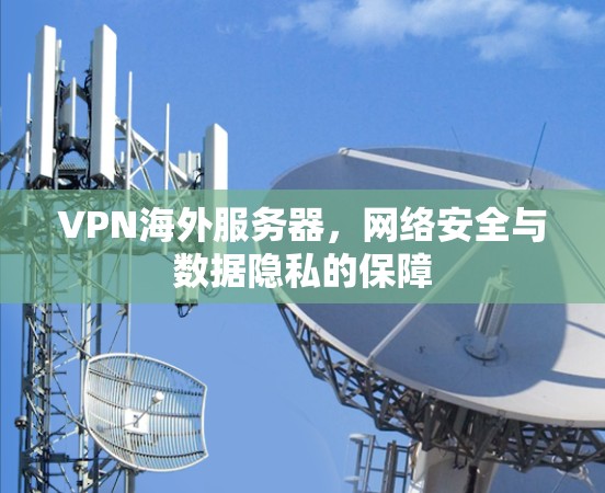 VPN海外服务器，网络安全与数据隐私的保障
