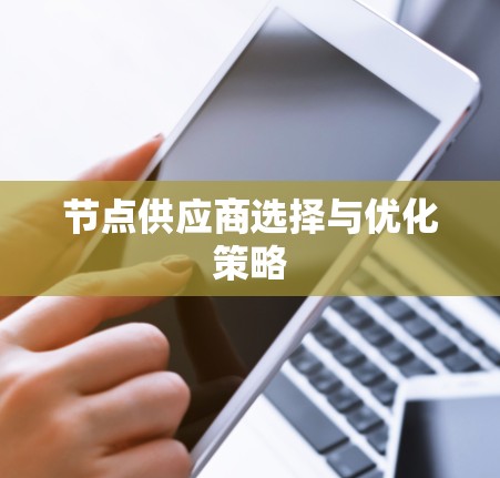 节点供应商选择与优化策略 节点供应商选择与优化策略