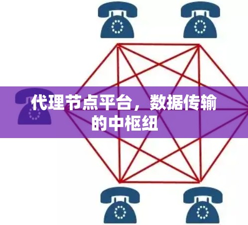 代理节点平台，数据传输的中枢纽
