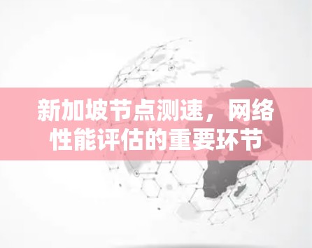 新加坡节点测速，网络性能评估的重要环节