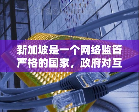新加坡是一个网络监管严格的国家，政府对互联网的使用有一些限制。使用VPN在新加坡可能会受到一定的法律和政策限制。以下是一些关于使用VPN在新加坡的注意事项和推荐
