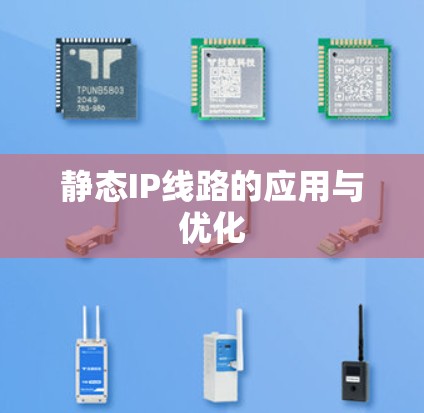 静态IP线路的应用与优化