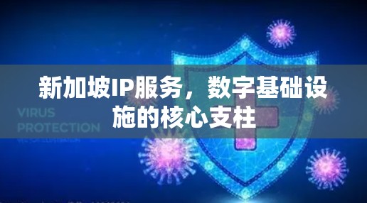 新加坡IP服务，数字基础设施的核心支柱