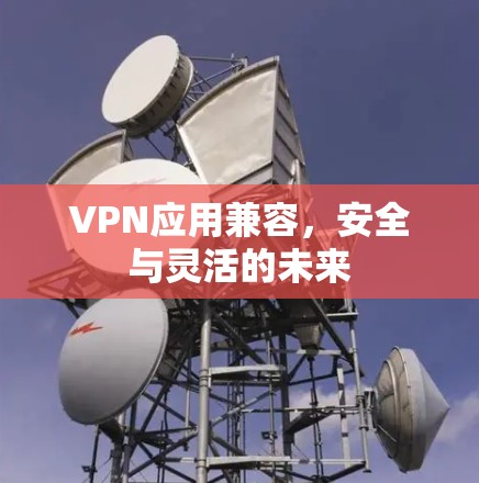 VPN应用兼容,安全与灵活的未来 VPN应用兼容,安全与灵活的未来
