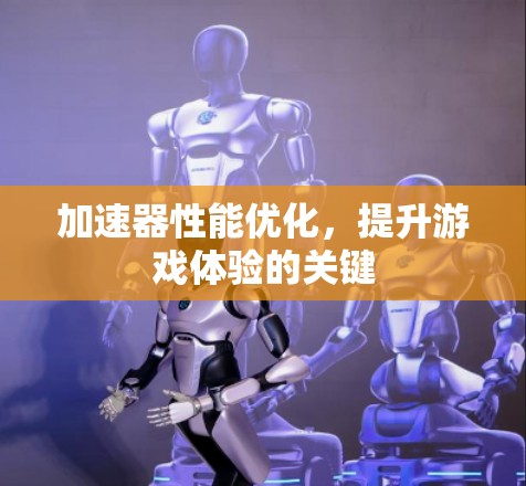 加速器性能优化,提升游戏体验的关键 加速器性能优化,提升游戏体验的关键